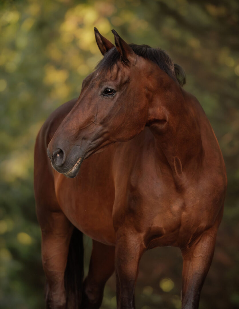 ECP_6033-Enhanced-NR-Edit