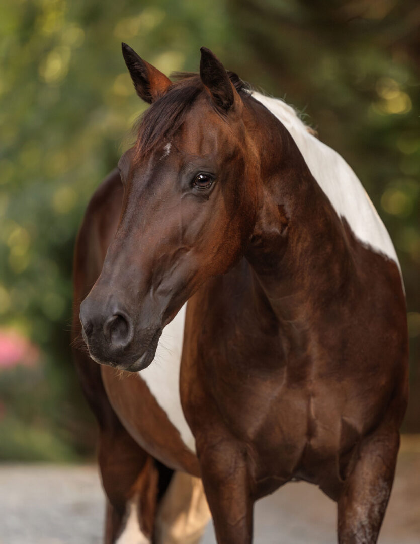 ECP_6080-Enhanced-NR-Edit