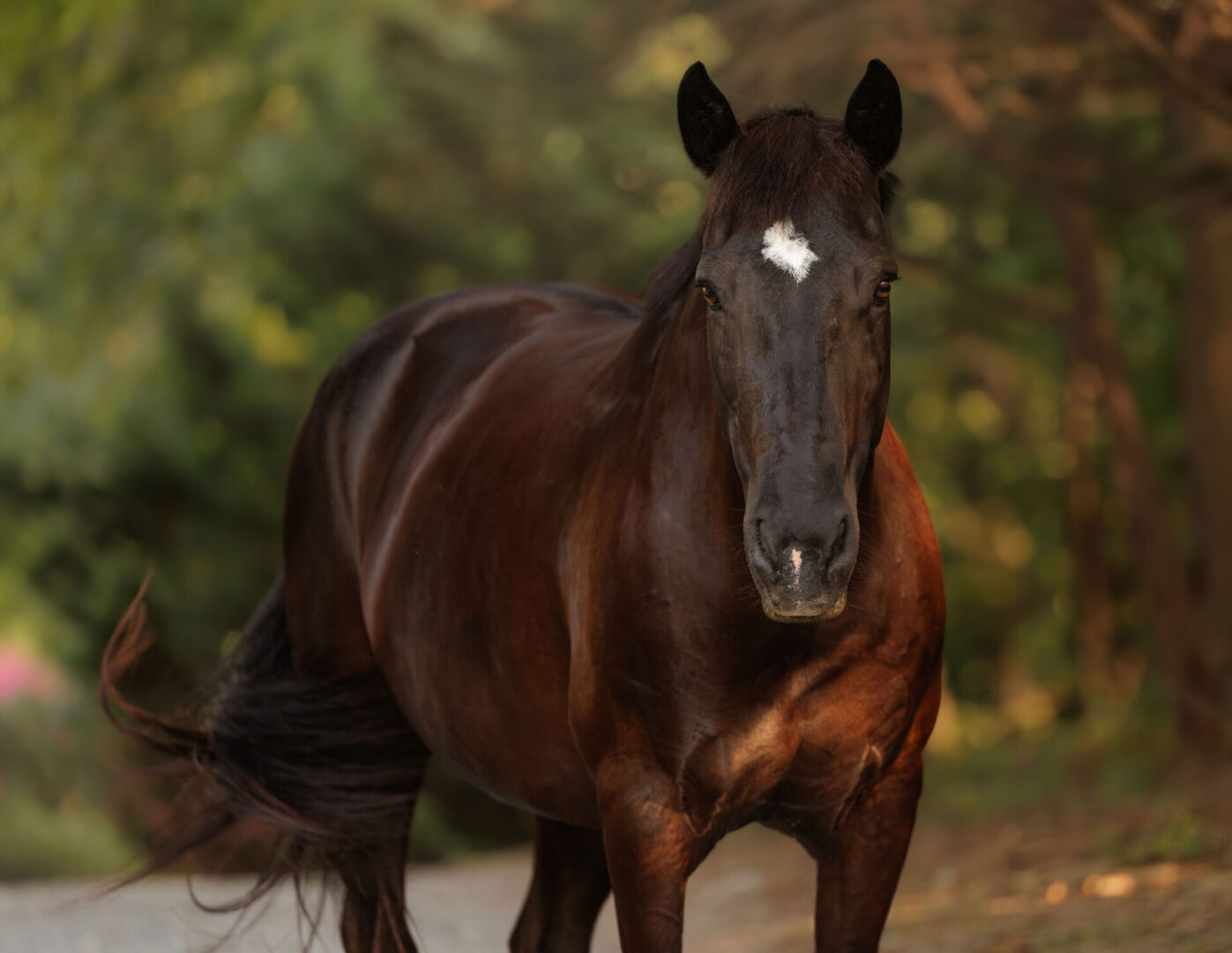 ECP_6100-Enhanced-NR-Edit