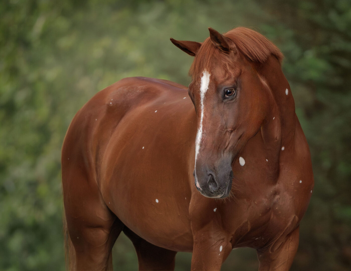 ECP_6123-Enhanced-NR-Edit-2