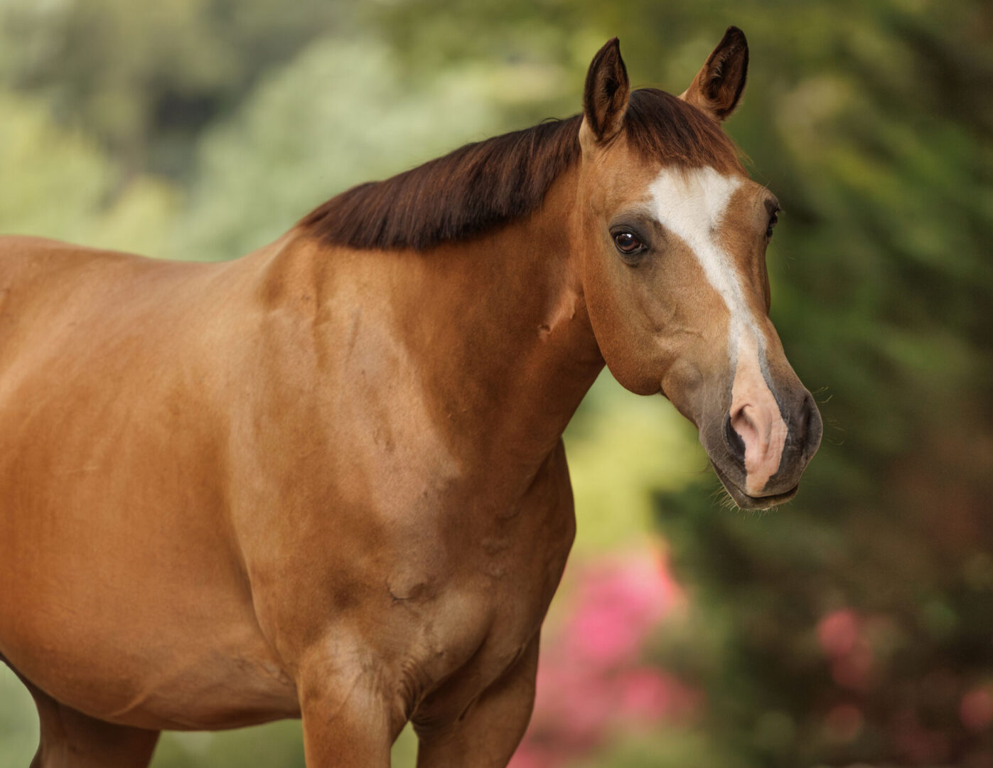 ECP_6182-Enhanced-NR-Edit