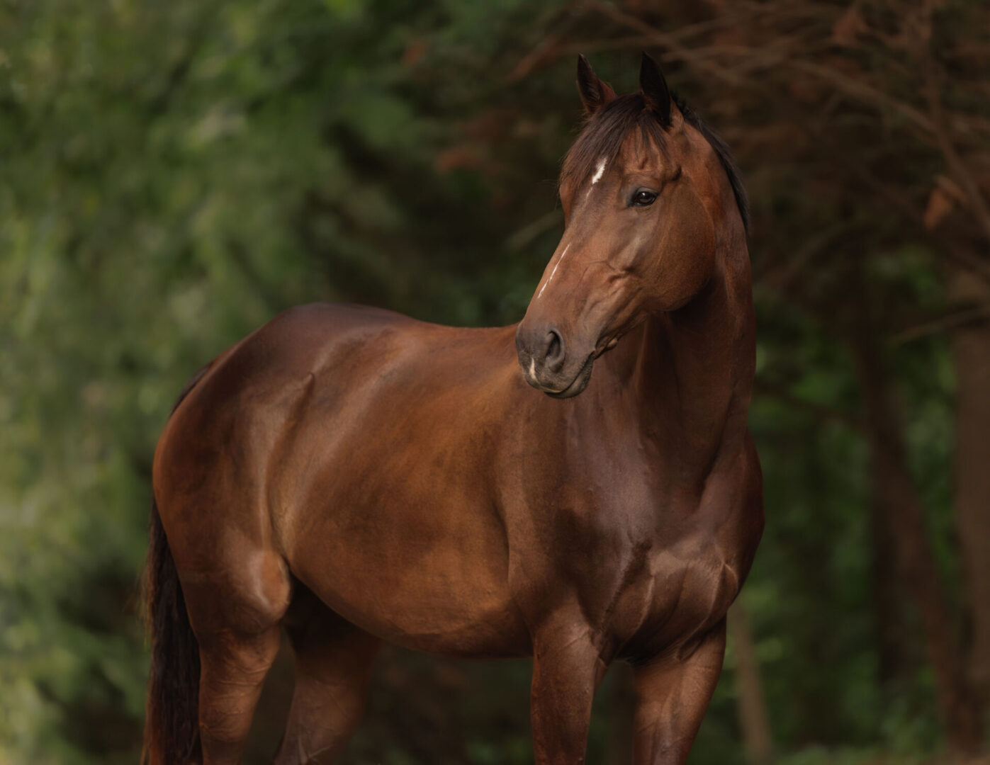 ECP_6241-Enhanced-NR-Edit