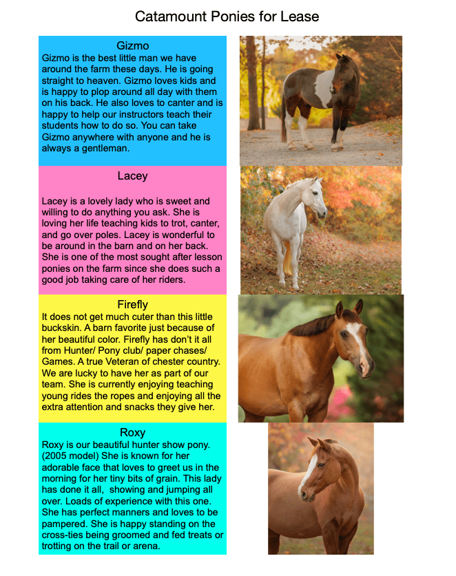 Screen Shot 2025-09-29 at 3.31.25 PM