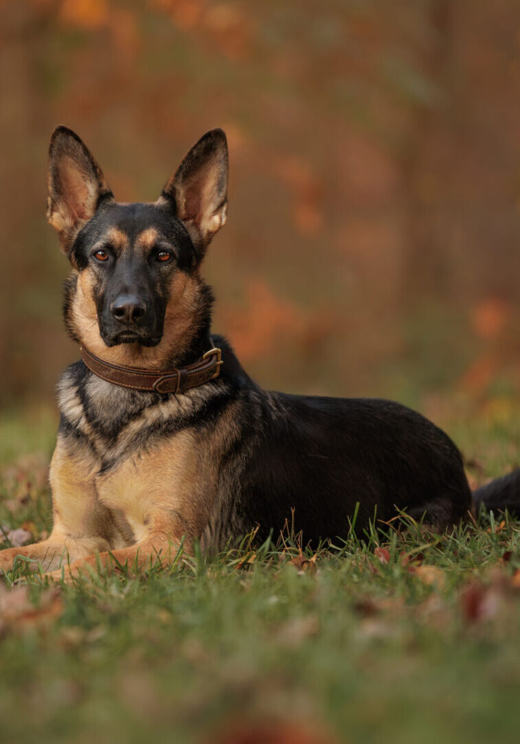 ECP_9616-Enhanced-NR-Edit